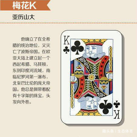 必备攻略！鹰王扑克vip牌背面认牌技巧,推荐8个购买渠道