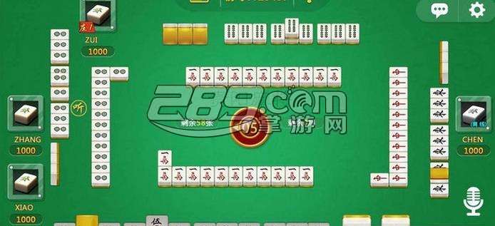 玩家必备攻略“闲来贵州麻将开挂方法!其实确实有挂