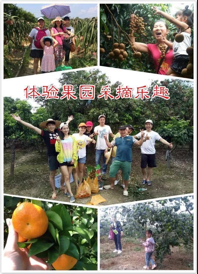 必看盘点揭秘！广东手机麻将规律及技巧(老是输怎么回事)