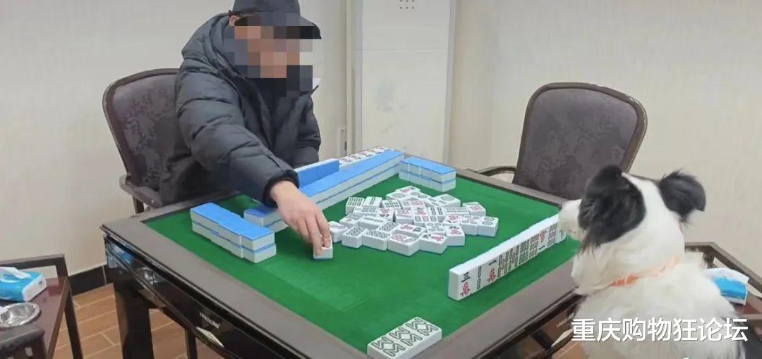 火爆全网!微乐四川麻将有没有挂”其实确实有挂 