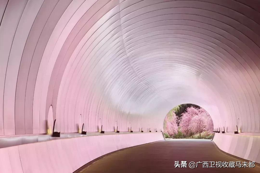 必看盘点揭秘!樱花大厅有挂吗(确实有挂)-知乎
