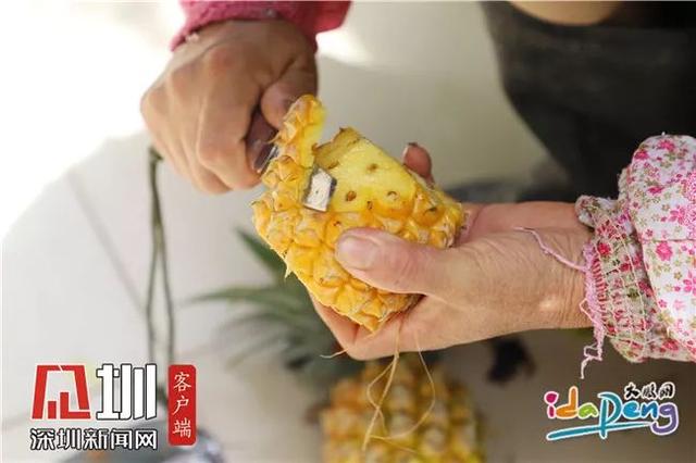 普及一下“哈糖大菠萝到底可以开挂吗”开挂教学