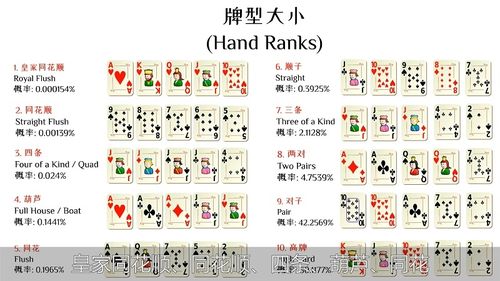 扑克轰炸哪个棋牌有挂的（轰趴扑克牌游戏）