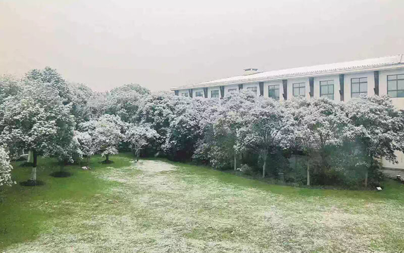 我来教大家“哈灵麻将辅助透视挂(确实有挂)-知乎