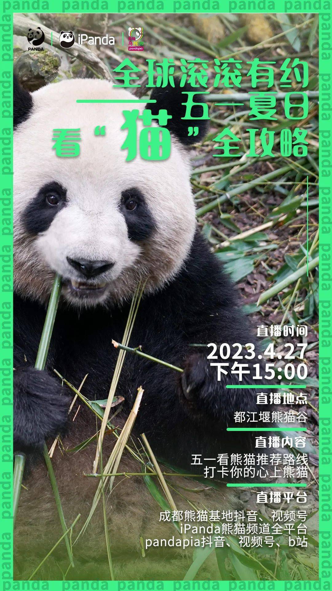 给大家爆料一下必看科普闲来熊猫麻将到底有没有挂”-太坑了原来有挂