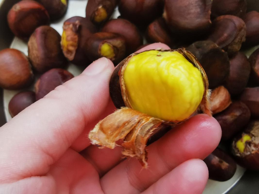 我来教教大家“中至麻将有什么赢的诀窍”(确实是有挂)-哔哩哔哩