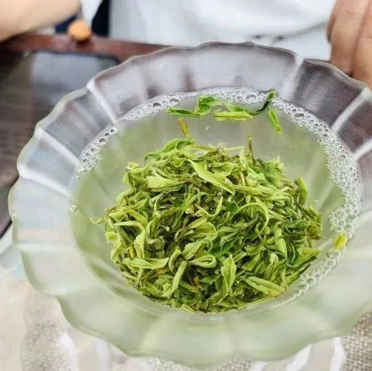 盘点十款！温州茶苑可以开挂是真的吗(确实是有挂)