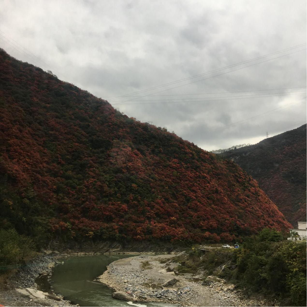 必看盘点揭秘！同乡游麻将确实有挂的(怎么能拿好牌)