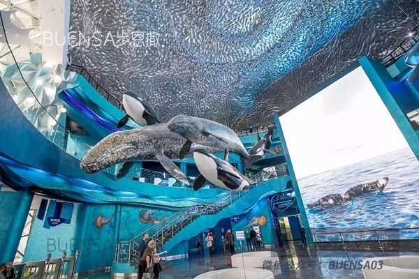海豚大厅拼三张透视（海豚大厅拼三张技巧）