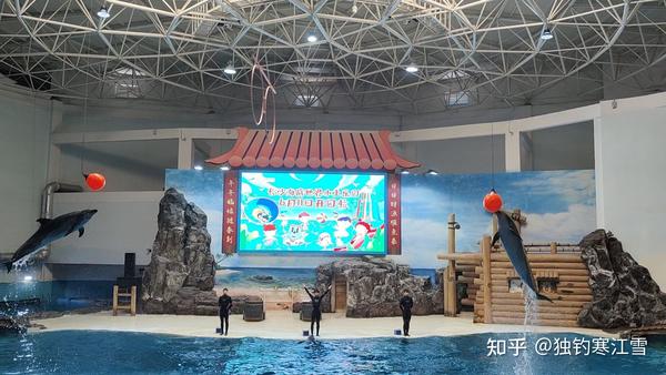 海豚大厅拼三张透视（海豚大厅拼三张技巧）