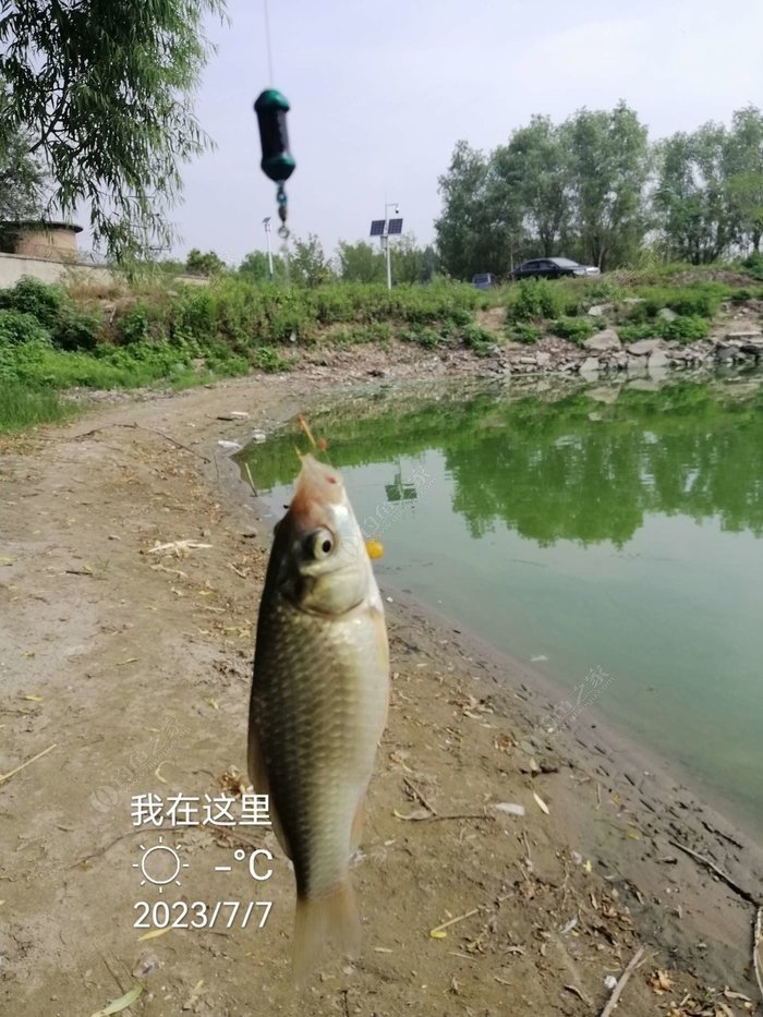 挂粘网捕鱼视频教程大全（挂粘网捕鱼视频教程大全集）