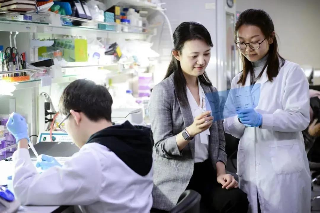 5分钟教会你“天圆游戏开挂软件!其实确实有挂的