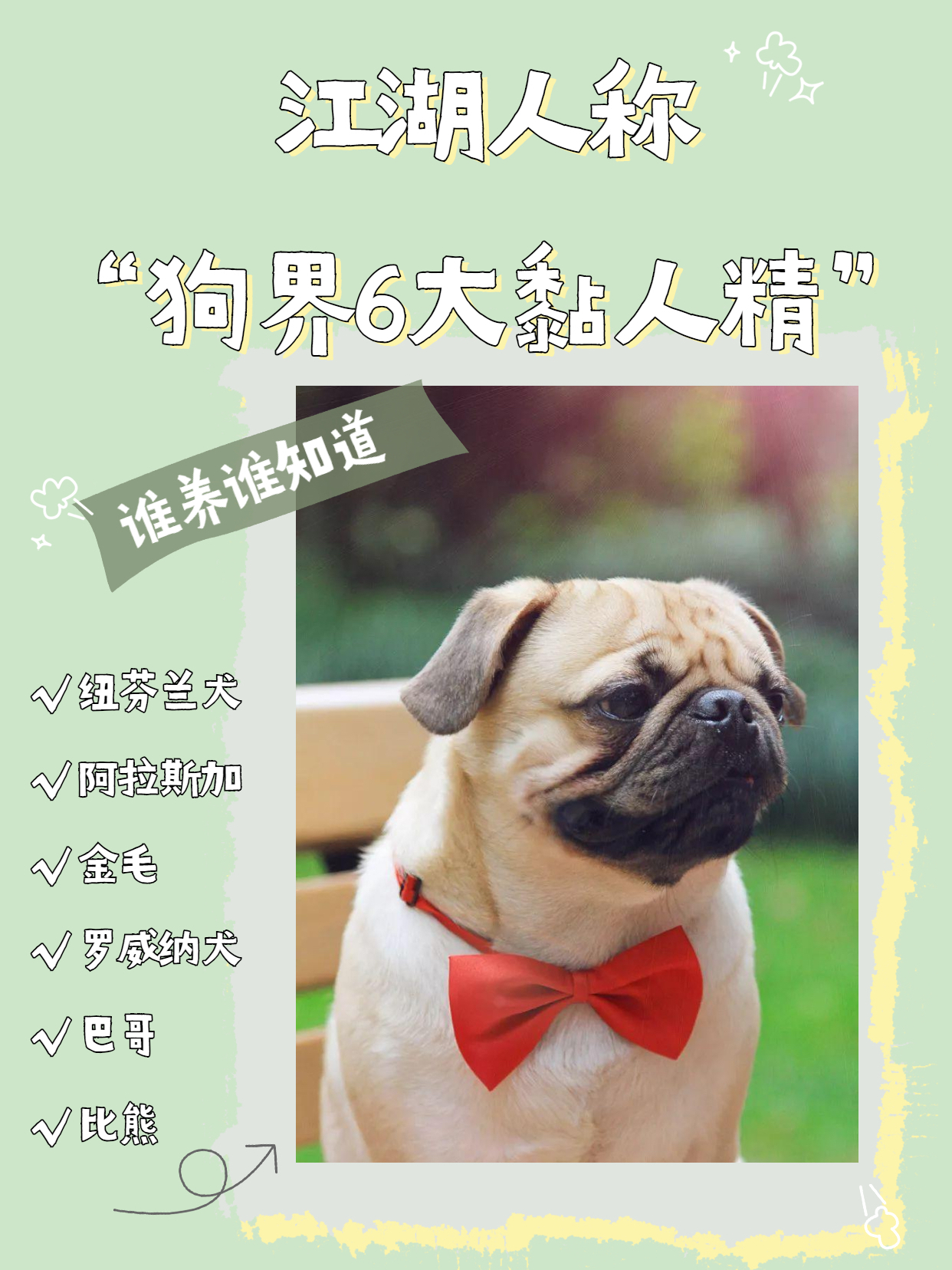玩家必备教程哈狗的人真多”详细教程辅助工具