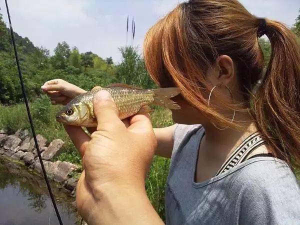 3分钟教你科普“金州水鱼有挂吗!其实确实有挂