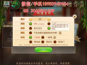 必备攻略！山东微乐麻将插件购买(有没有技巧)