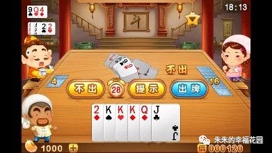 欢乐斗地主透视赖子（欢乐斗地主内置透视）