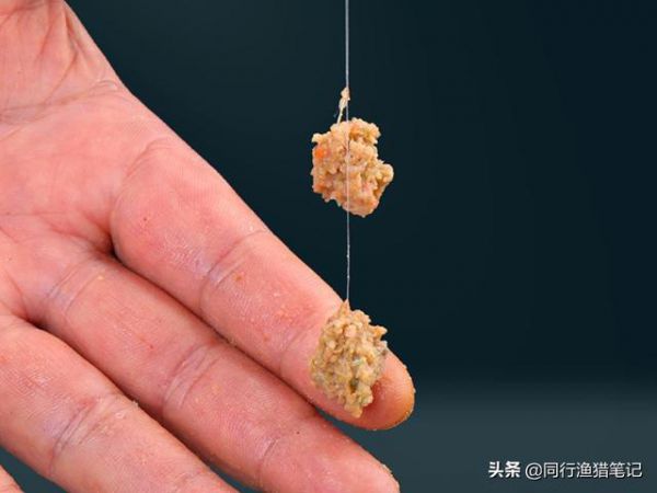 捕鱼饵料球怎样挂视频（鱼饵球怎么挂钩）