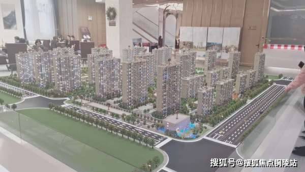 必看盘点揭秘!实用先进扑克器是真的吗一《我来教教你怎么赢 》