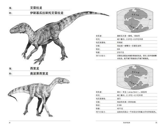 厉害了!斗牛洗牌十大技巧讲解《详细教程 新浪科技》