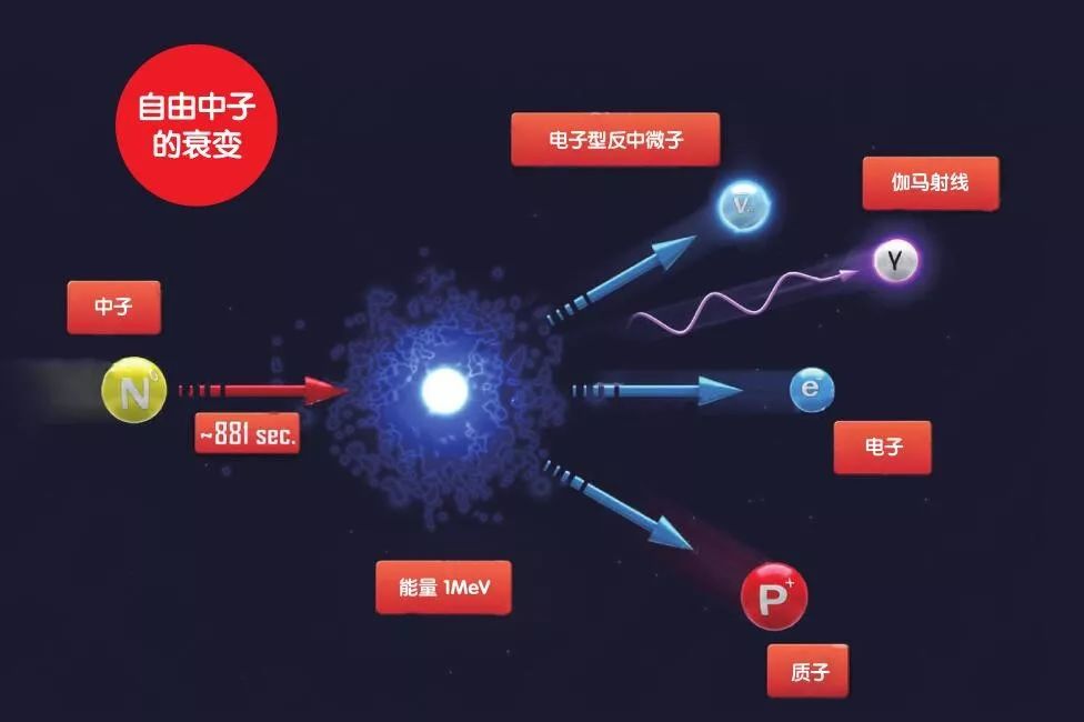 厉害了!终于知道骰子单双最合理的下法—详细解说+新浪科技