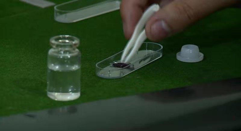 教程辅助“打牌最常用出老千方法视频《详细教程 新浪科技》