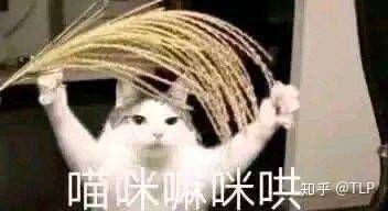 开心十三张其实真的确实有挂(确实是有挂)