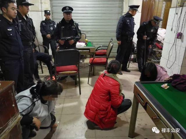 玩家必备教程实用筒子斗牛先进的仪器设备工具《详细教程 新浪科技》