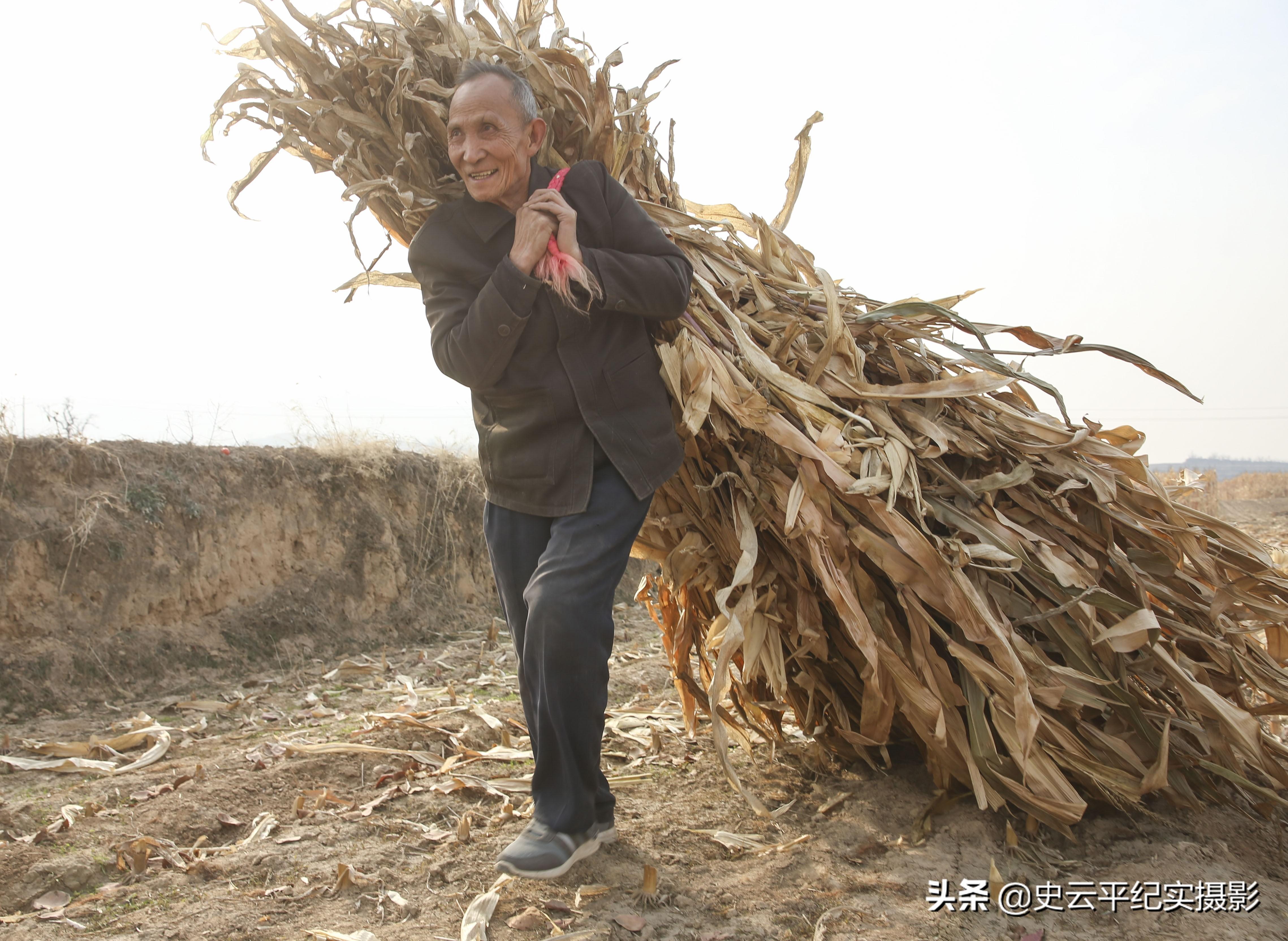 优选推荐“玉米猜1234怎么能赢《新浪科技 讲解窍门》