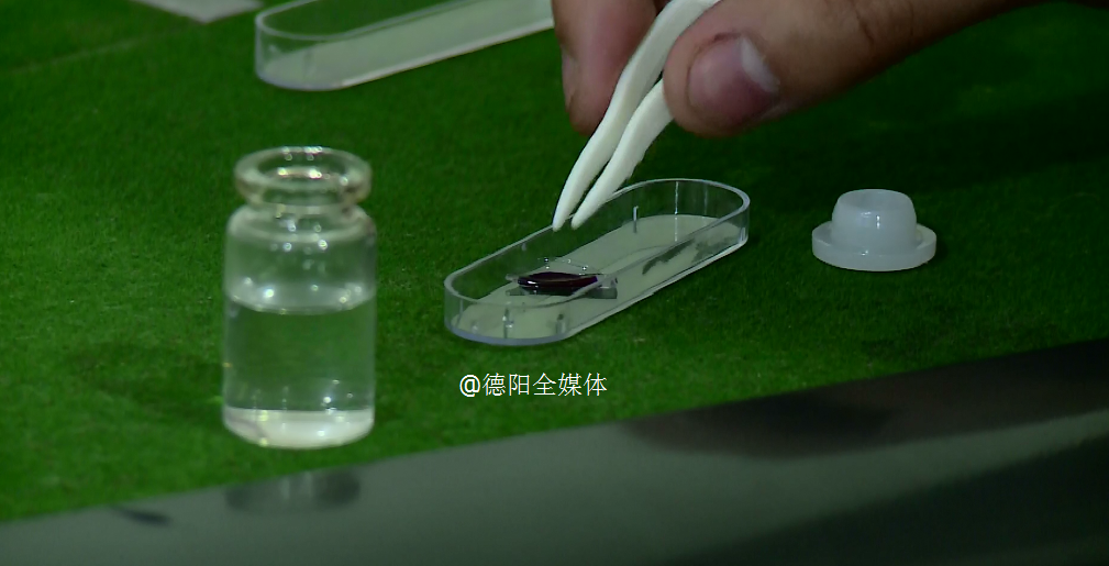新教你‘‘透视隐形眼镜看穿麻将《新浪科技 讲解窍门》