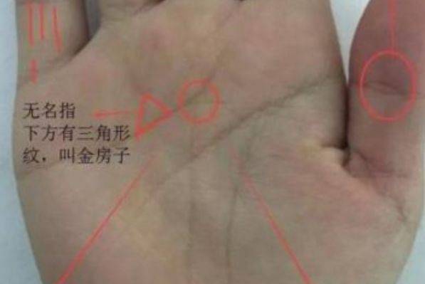 3分钟教你科普“金花手法_《爱问知识人 使用说明》