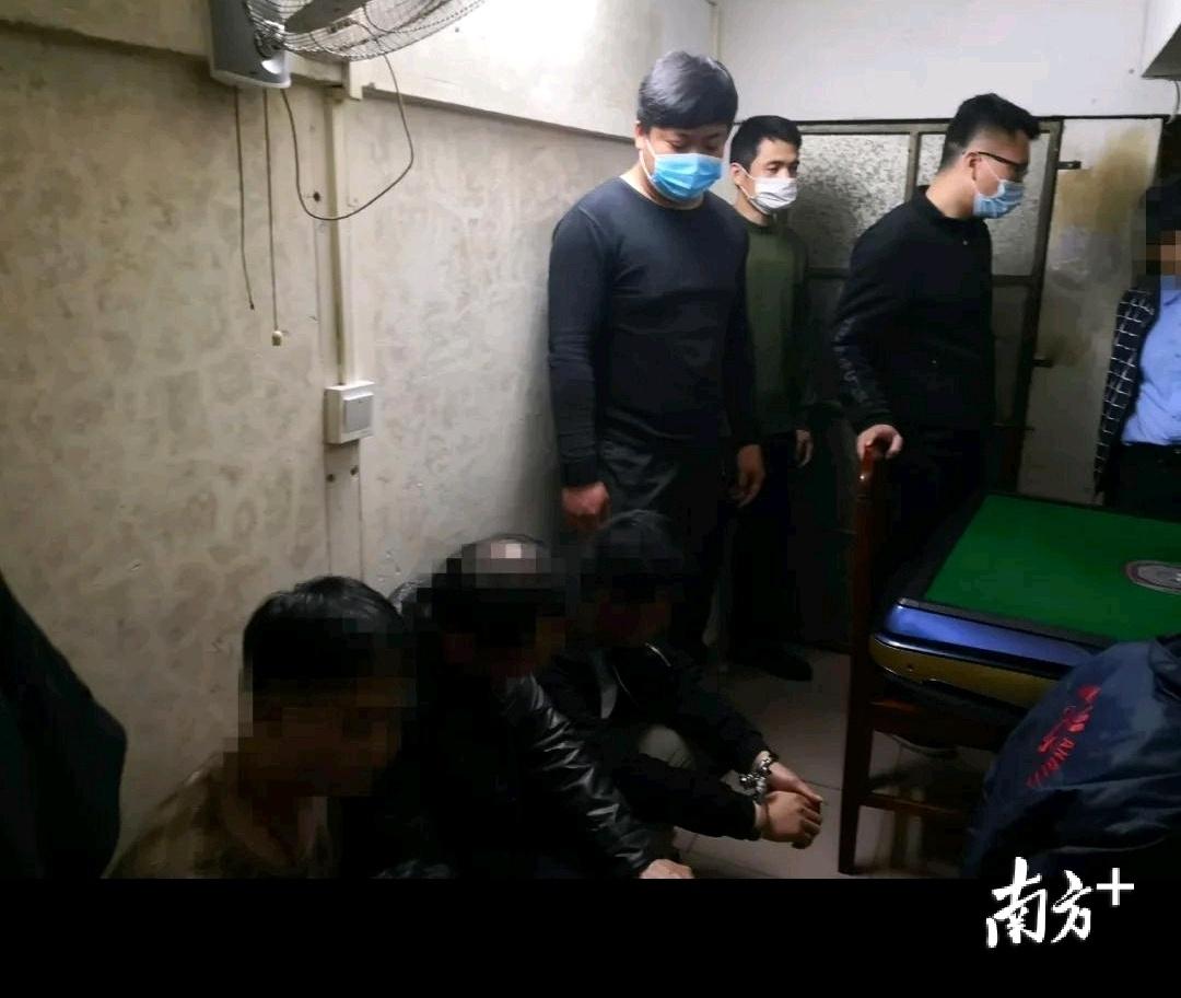 (2分钟介绍)“普通扑克三公先进产品—详细解说+新浪科技