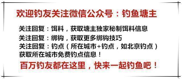 详细说明“十三水最简单作弊方法视频《新浪科技 讲解窍门》