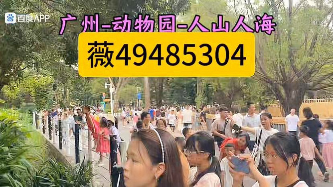 白金岛麻将究竟有没有挂(确实有挂吗)