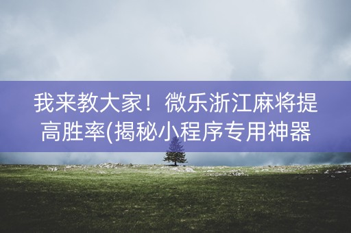 必备攻略微乐浙江麻将提高胜率(揭秘手机上提高胜率)