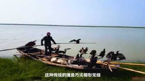 鄱阳翻精逸趣究竟到底有挂吗(其实真的确实有挂)