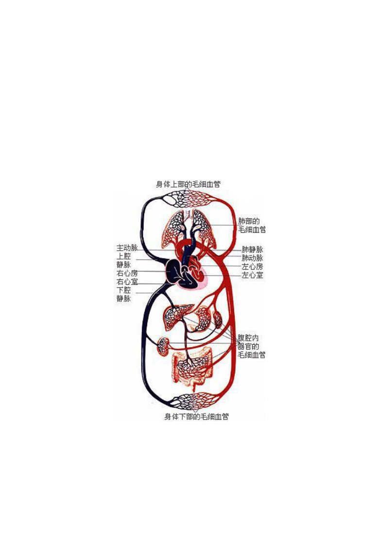 玩家必备攻略“实用斗牛设备_《爱问知识人 使用说明》