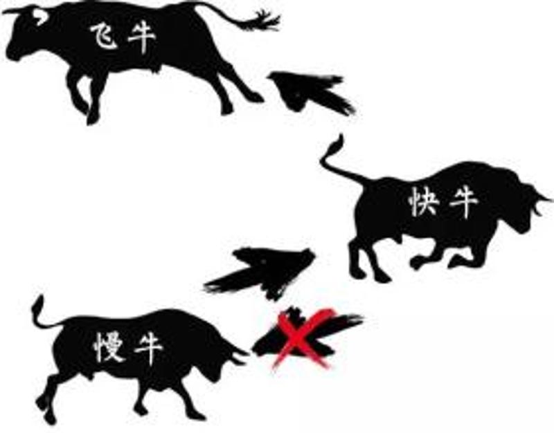 分享决窍“玩斗牛好实用的产品高科技《新浪科技 讲解窍门》