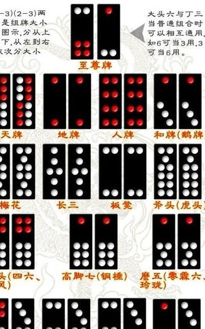 3分钟教你科普“关于排九牌的组合都有哪些啊《详细教程 新浪科技》