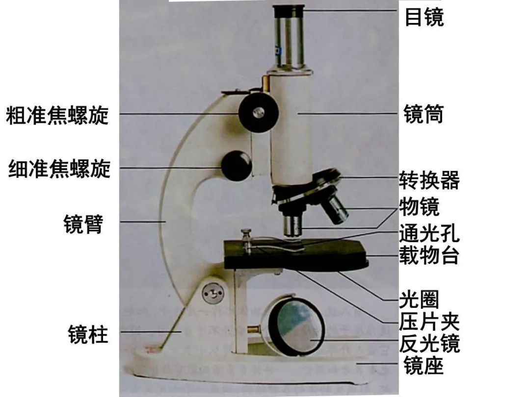 实测分享“能看物体的设备镜_《爱问知识人 使用说明》