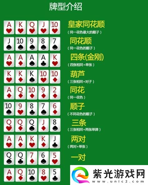 三分钟了解&quot;金花如何偷看自己的牌_《爱问知识人 使用说明》