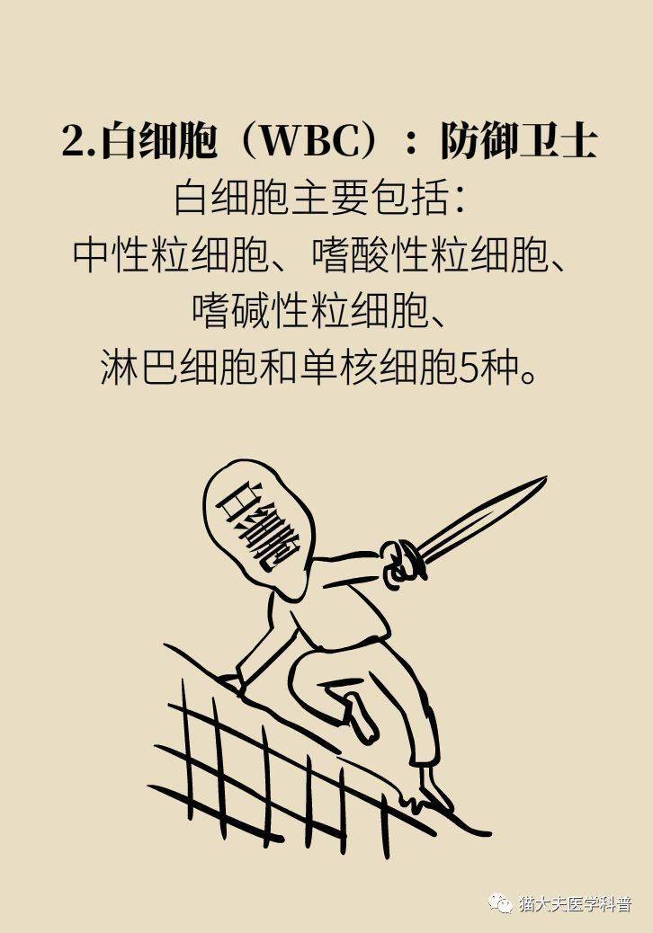 3分钟教你科普“如何看透押宝里色子的大小一《我来教教你怎么赢 》
