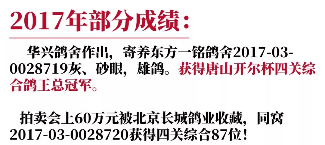 牵手跑得快确实有人开挂(揭秘小程序自建房怎么赢)