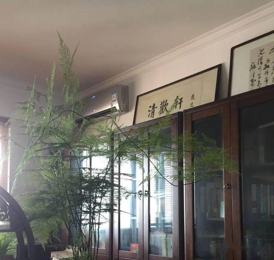 微乐家乡麻将怎么让系统发好牌(究竟是不是有挂)