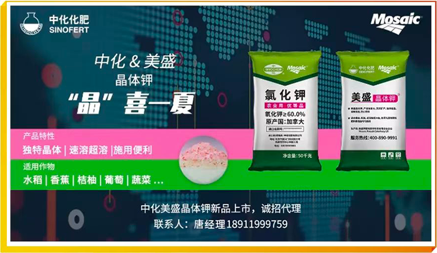 火爆全网!给大家科普新且实用扑克牌听牌器耳塞《详细教程 新浪科技》