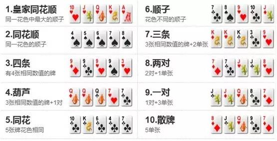 必看盘点揭秘!普通扑克玩出技巧—详细解说+新浪科技